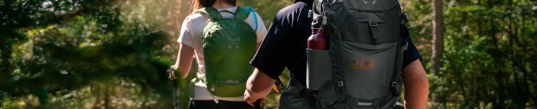 Camino de Santiago